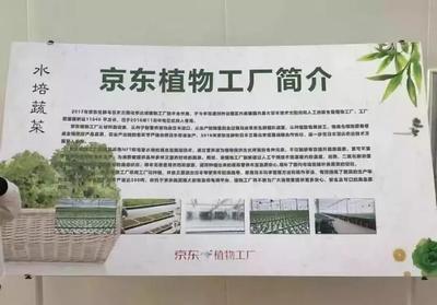 三农日报 我国农产品物流总额超4万亿，法国农业吸引年轻人，蔬菜种植新动态
